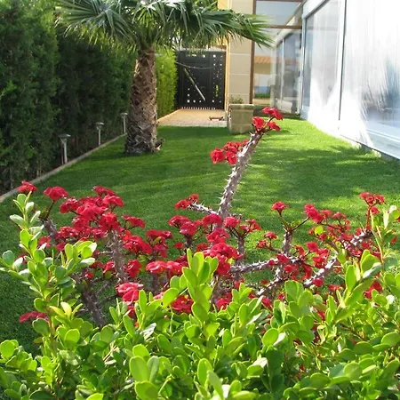 Stone Guesthouse Corinth Εξωτερικό φωτογραφία