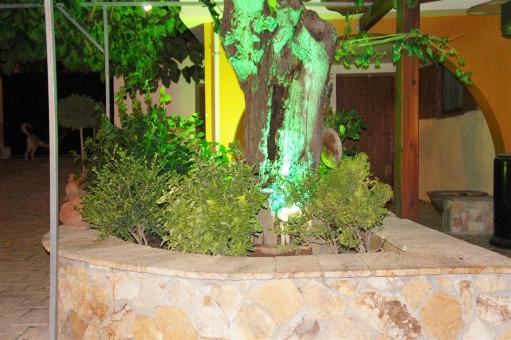 Apartment Stone *